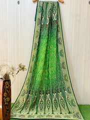 Fina Meenakari Dupatta