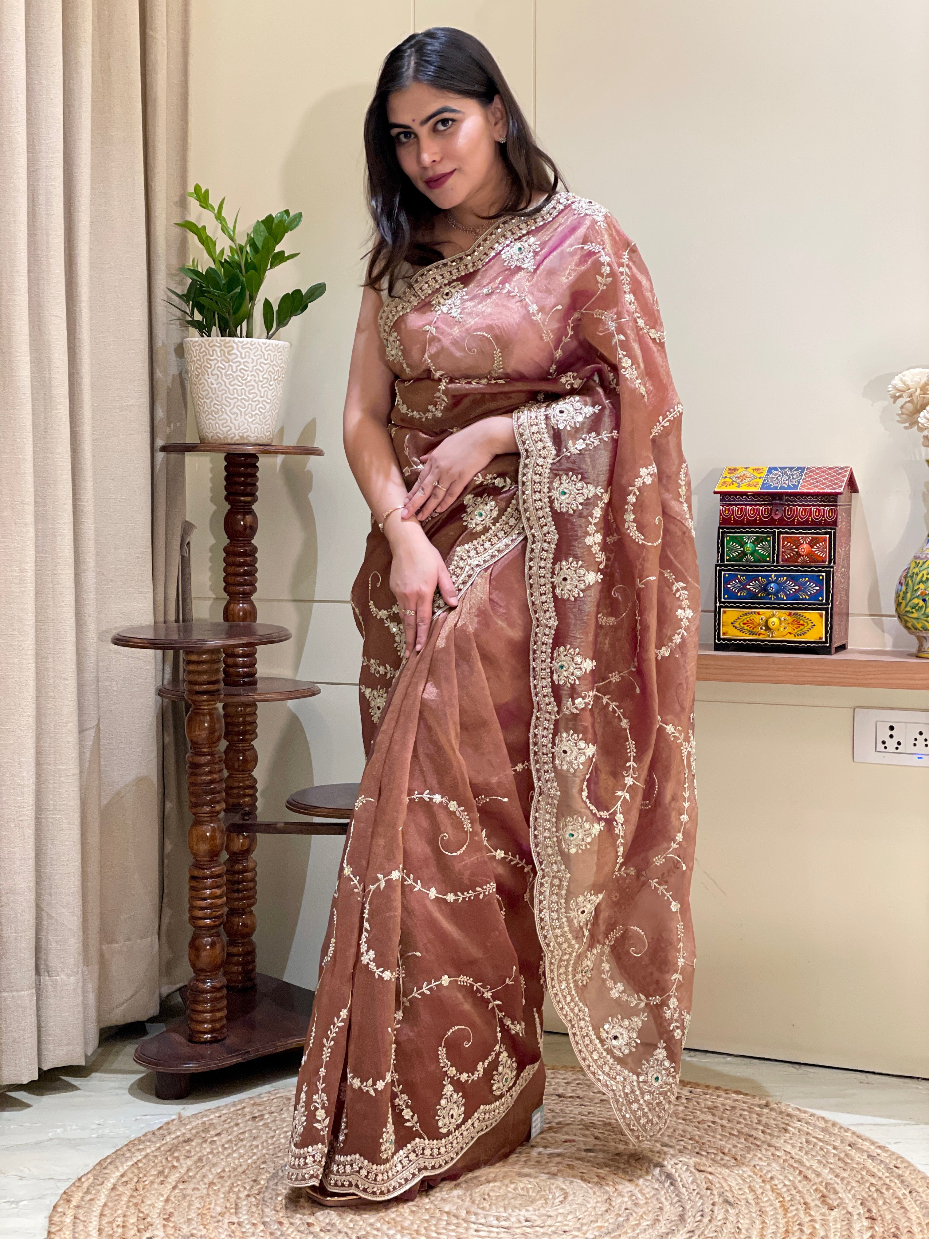 Ira Brown Organza Tissue Saree