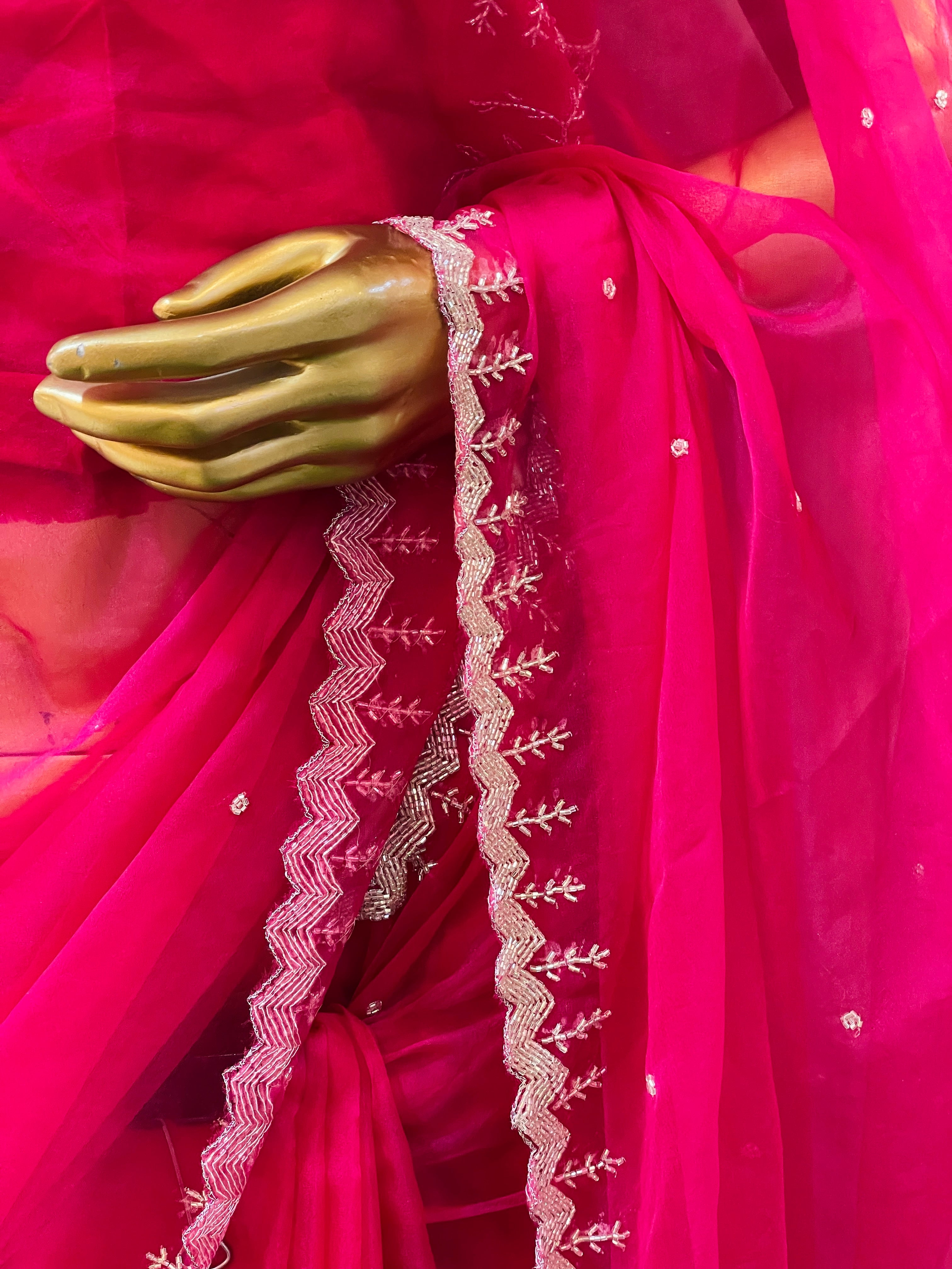 Gagan Organza Saree