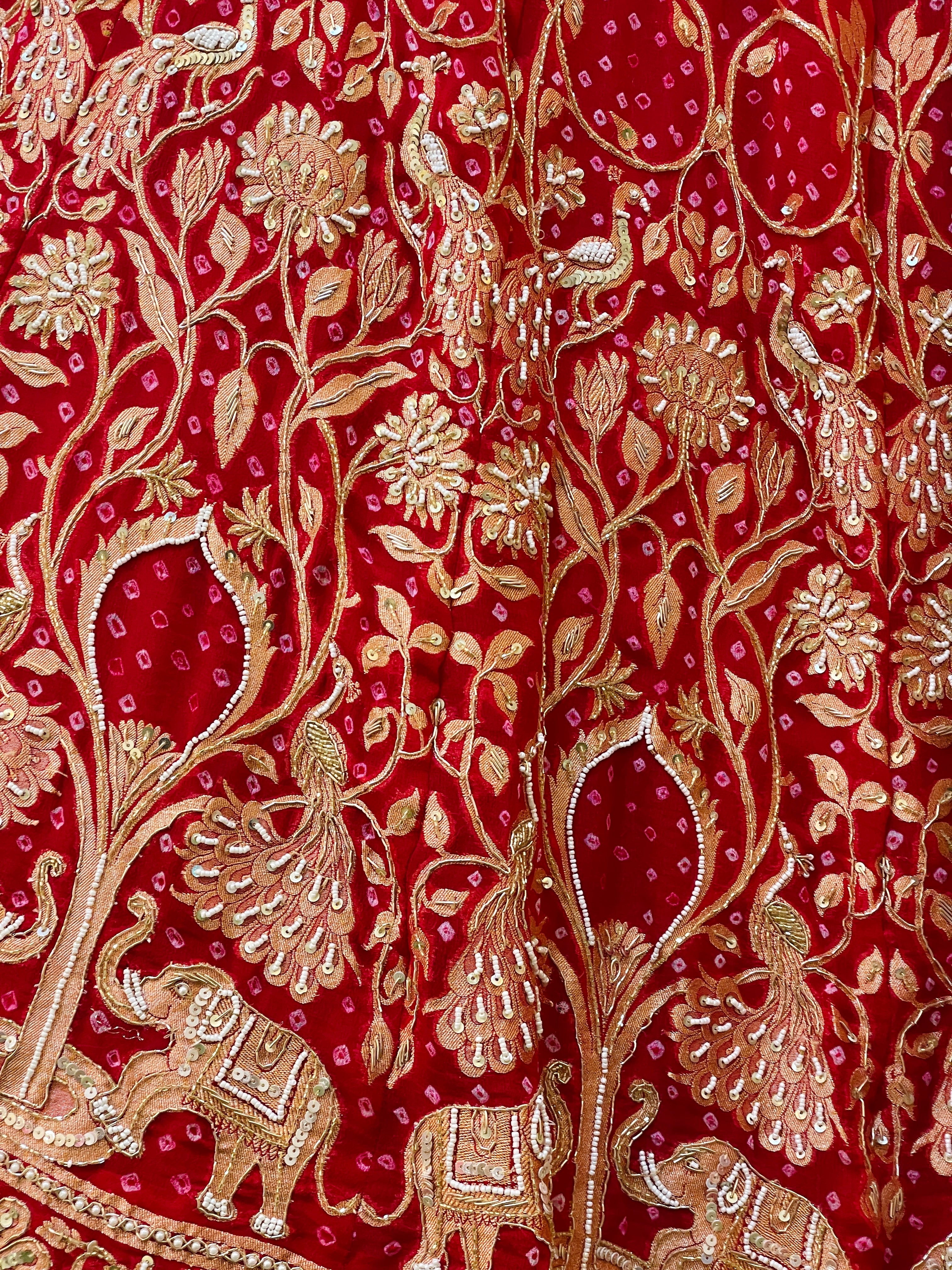 Shahi Gajraj Zardozi Red Lehenga Set