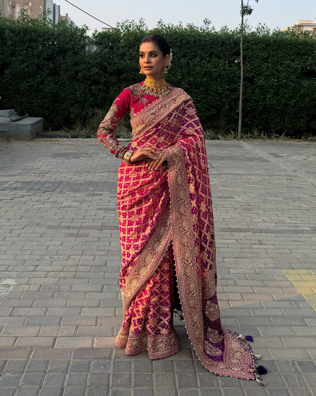 Vanshika Gaba Inspired Pink & Purple Khadi Georgette Saree